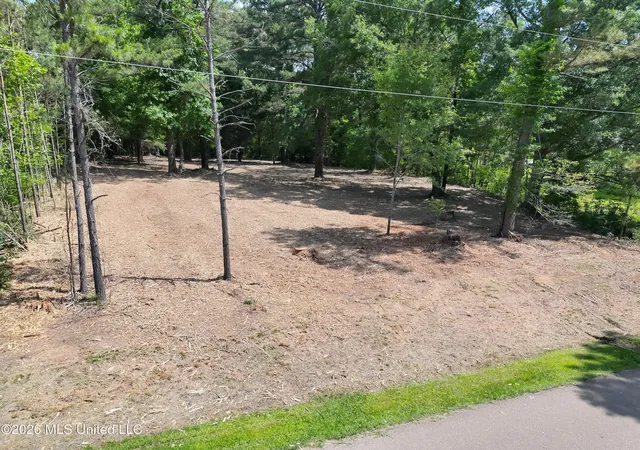 Photo 4 of Land for sale at 164 Walter Payton Ln, Ridgeland, MS 39157 | MLS# 4135860 | Listing updated on 2026-07-23