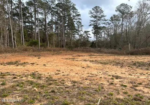 Homes for sale in Mc Comb, MS | 1028 Chester Reeves Rd, Mc Comb, MS 39648 | MLS# 4135625