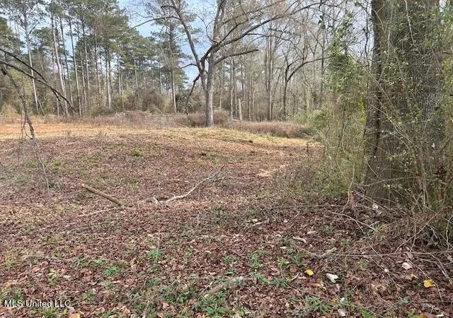 Homes for sale in Mc Comb, MS | 1028 Chester Reeves Rd, Mc Comb, MS 39648 | MLS# 4135625