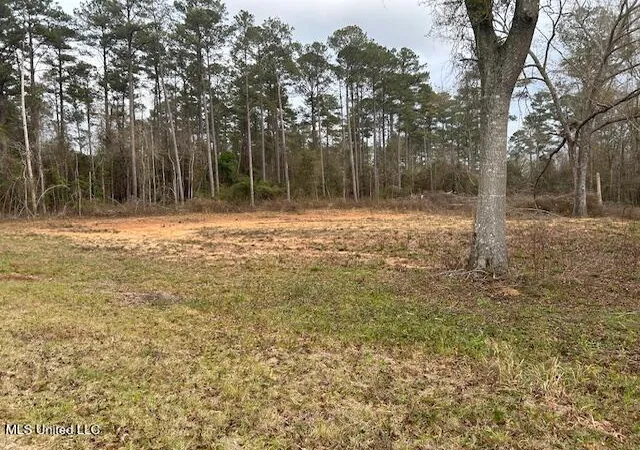 Homes for sale in Mc Comb, MS | 1028 Chester Reeves Rd, Mc Comb, MS 39648 | MLS# 4135625