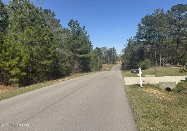 Photo 3 of Land for sale at 0 Cedarwood Dr, Perkinston, MS 39573 | MLS# 4135596 | Listing updated on 2026-07-27