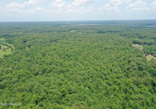 3rd image of 3466 Bethel Rd, Olive Branch, MS 38654 | MLS# 4135716