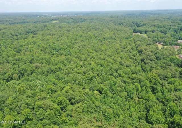 4th image of 3466 Bethel Rd, Olive Branch, MS 38654 | MLS# 4135716