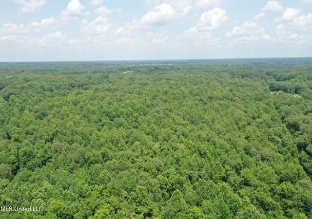 5th image of 3466 Bethel Rd, Olive Branch, MS 38654 | MLS# 4135716