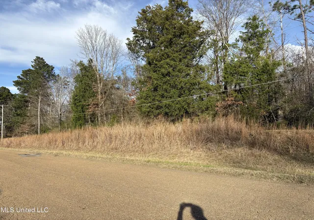 3rd image of 0 N Siwell Rd, Jackson, MS 39209 | MLS# 4136055