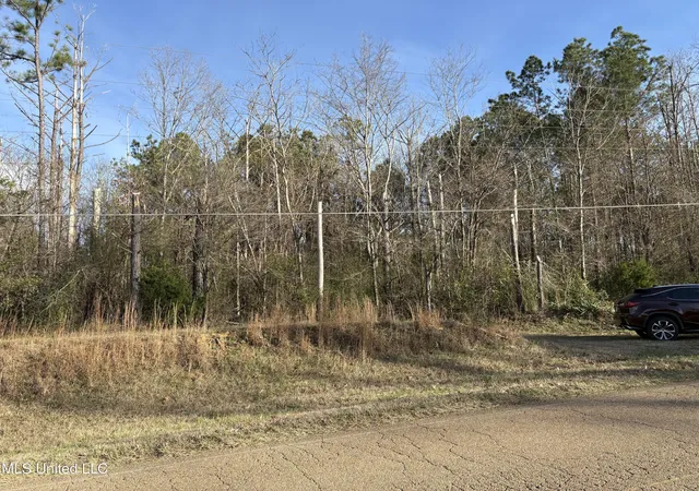 4th image of 0 N Siwell Rd, Jackson, MS 39209 | MLS# 4136055