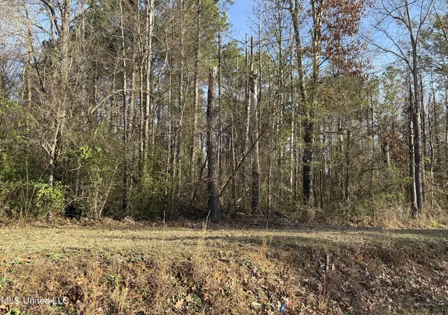 5th image of 0 N Siwell Rd, Jackson, MS 39209 | MLS# 4136055