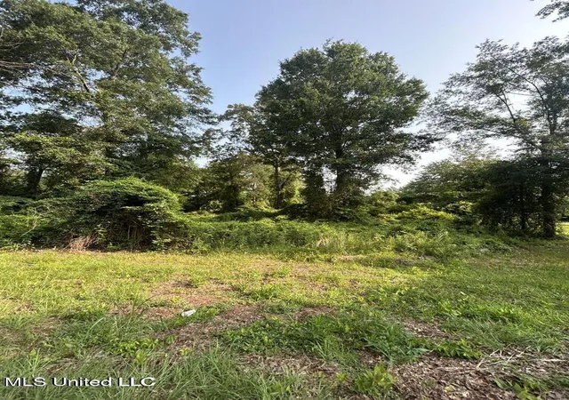 Homes for sale in Brookhaven, MS | Love St, Brookhaven, MS 39601 | MLS# 4135986