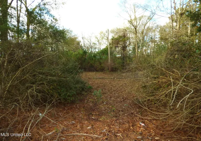 Photo 2 of Land for sale at 1304 24th Street, Mc Comb, MS 39648 | MLS# 4136440 | Listing updated on 2026-03-30