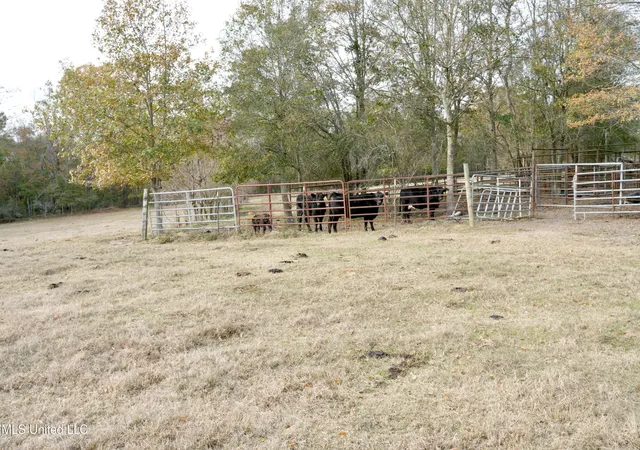 Photo 3 of Sale Pending at Xxx S Washington Ne St, Brookhaven, MS 39601 | MLS# 4136151 | Listing updated on 2026-08-03