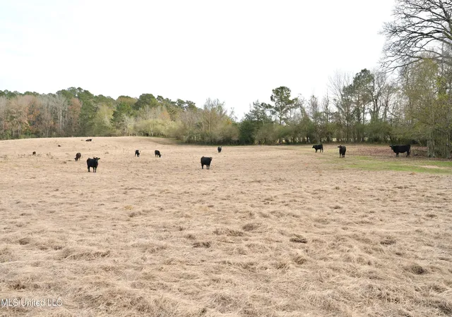 Photo 4 of Sale Pending at Xxx S Washington NE St, Brookhaven, MS 39601 | MLS# 4136151 | Listing updated on 2026-08-03
