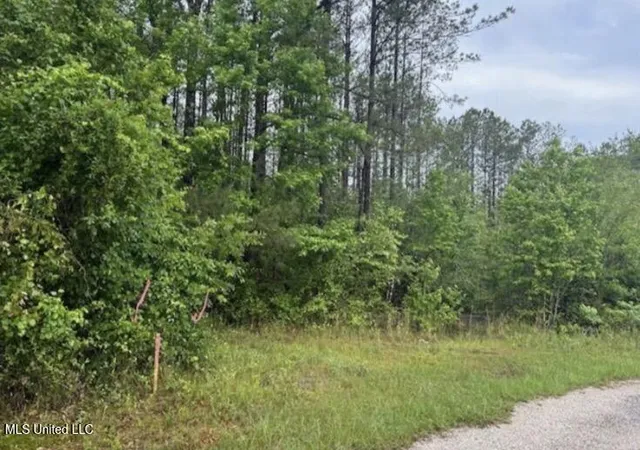 Photo 3 of Land for sale at 301 Woods Rd, Mc Lain, MS 39456 | MLS# 4136257 | Listing updated on 2026-03-30