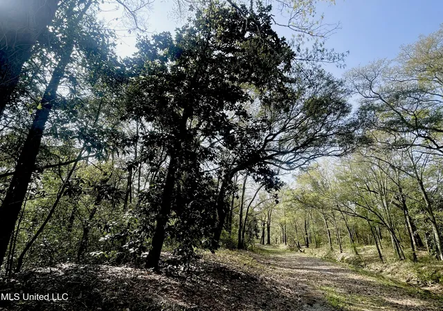 1st image of Holland St, Pascagoula, MS 39581 | MLS# 4136299