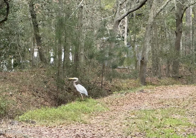 Photo 3 of Land for sale at Holland St, Pascagoula, MS 39581 | MLS# 4136299 | Listing updated on 2026-03-30