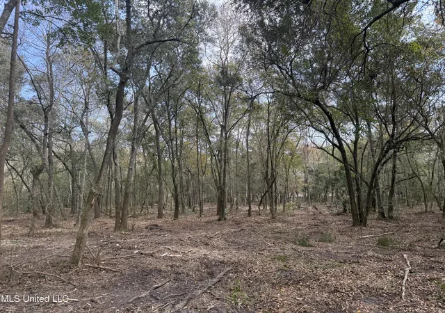 Photo 3 of Land for sale at Holland St, Pascagoula, MS 39581 | MLS# 4136299 | Listing updated on 2026-03-30