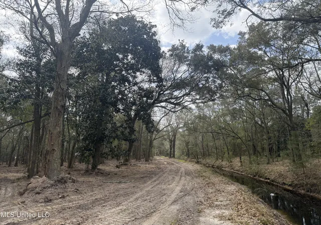 55th image of Holland St, Pascagoula, MS 39581 | MLS# 4136299