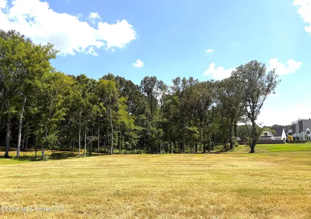 Photo 3 of Land for sale at 870 Red Cedar Loop, Hernando, MS 38632 | MLS# 4136363 | Listing updated on 2026-08-17