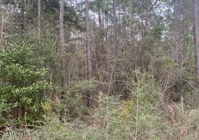 Photo 3 of Land for sale at Azalea Ln, Pass Christian, MS 39571 | MLS# 4136478 | Listing updated on 2026-05-10