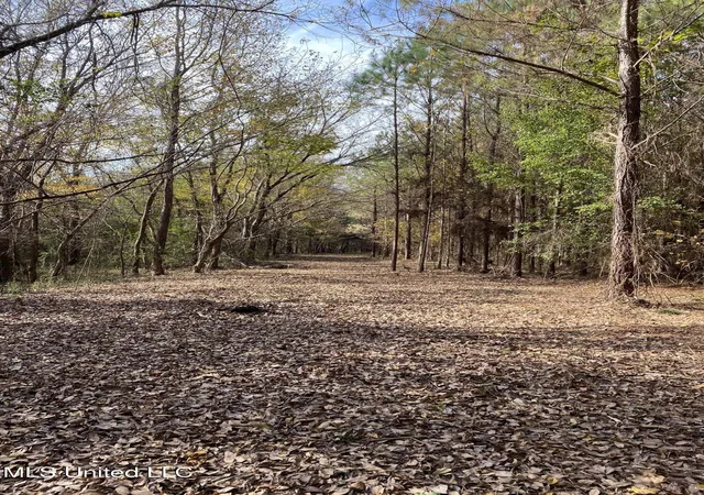 Homes for sale in Holly Springs, MS | 0 Graves Rd, Holly Springs, MS 38635 | MLS# 4136447