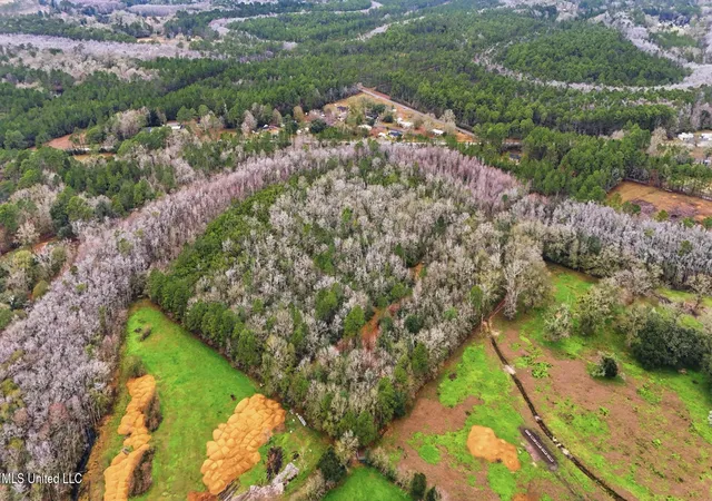 Photo 3 of Land for sale at Saracennia Rd, Moss Point, MS 39562 | MLS# 4136672 | Listing updated on 2026-05-21