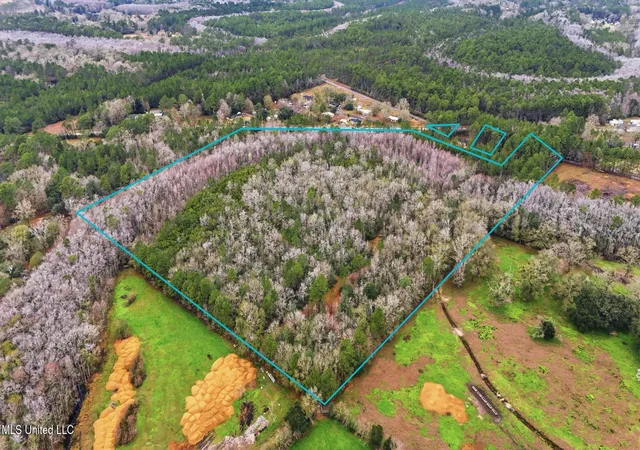 Photo 3 of Land for sale at Saracennia Rd, Moss Point, MS 39562 | MLS# 4136672 | Listing updated on 2026-05-21