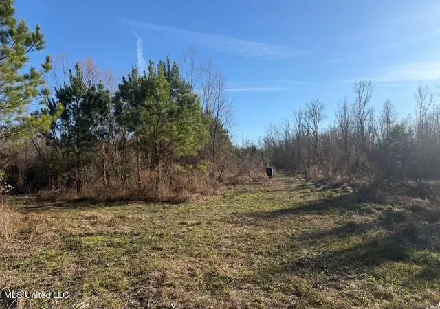 Photo 1 of Land for sale at Raymond Rd, Jackson, MS 39212 | MLS# 4136810 | Listing updated on 2026-09-02