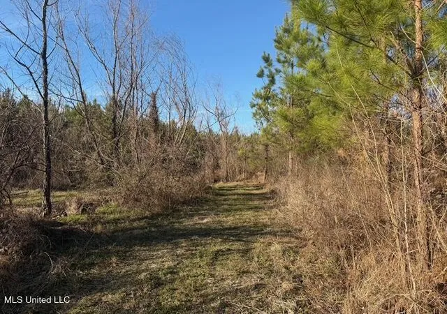 Photo 3 of Land for sale at Raymond Rd, Jackson, MS 39212 | MLS# 4136810 | Listing updated on 2026-09-02