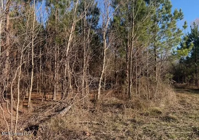 Photo 4 of Land for sale at Raymond Rd, Jackson, MS 39212 | MLS# 4136810 | Listing updated on 2026-09-02