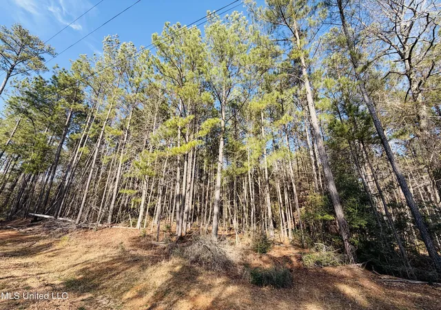 Photo 3 of Land for sale at Mallard Trl, Summit, MS 39666 | MLS# 4136923 | Listing updated on 2026-05-21