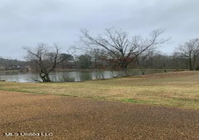 Homes for sale in Terry, MS | 1450 Tara Ln, Terry, MS 39170 | MLS# 4137190