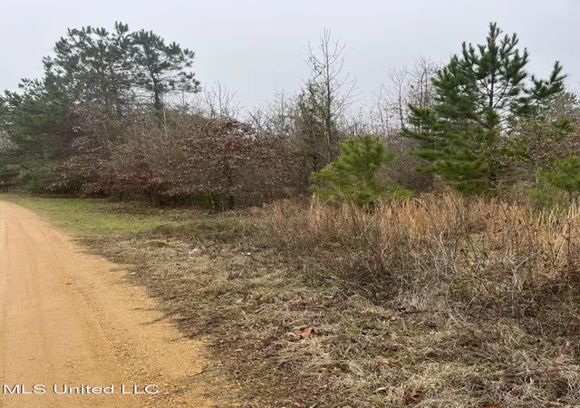 Photo 3 of Land for sale at Coventry Rd, Natchez, MS 39120 | MLS# 4137593 | Listing updated on 2026-09-10