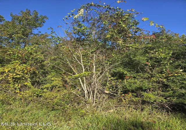 1st image of Jim Ramsey Cutoff Rd, Vancleave, MS 39565 | MLS# 4137193