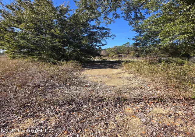 Photo 4 of Land for sale at 732 Wildwood Ct, Pass Christian, MS 39571 | MLS# 4137396 | Listing updated on 2026-06-20