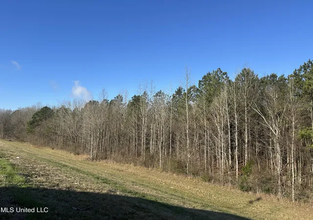 Photo 1 of Land for sale at 123 N Livingston Rd, Jackson, MS 39213 | MLS# 4137523 | Listing updated on 2026-09-08