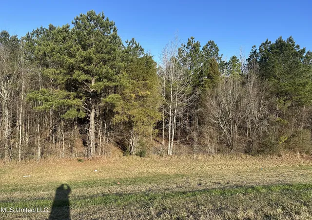 Photo 2 of Land for sale at 123 N Livingston Rd, Jackson, MS 39213 | MLS# 4137523 | Listing updated on 2026-09-08