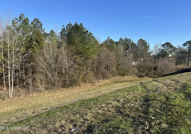 Photo 3 of Land for sale at 123 N Livingston Rd, Jackson, MS 39213 | MLS# 4137523 | Listing updated on 2026-09-08