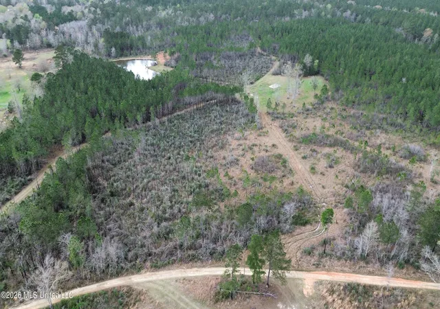 28th image of 51 L Jack Stewart Rd, Poplarville, MS 39470 | MLS# 4137846