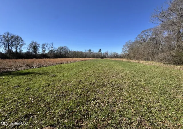 Homes for sale in Zachary, LA | 11311 Port Hudson Pride Rd, Zachary, LA 70791 | MLS# 4138004
