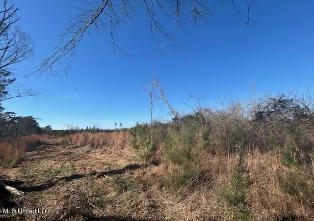 Photo 1 of Land for sale at Robert Jones Rd, Summit, MS 39666 | MLS# 4138043 | Listing updated on 2026-07-31