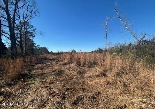 Photo 2 of Land for sale at Robert Jones Rd, Summit, MS 39666 | MLS# 4138043 | Listing updated on 2026-07-31