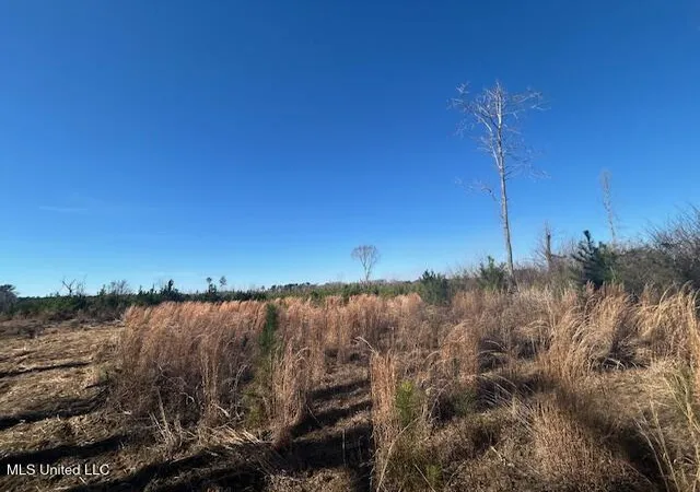 Photo 3 of Land for sale at Robert Jones Rd, Summit, MS 39666 | MLS# 4138043 | Listing updated on 2026-07-31