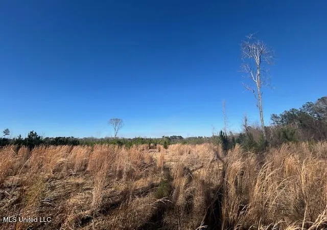 Photo 3 of Land for sale at Robert Jones Rd, Summit, MS 39666 | MLS# 4138043 | Listing updated on 2026-07-31