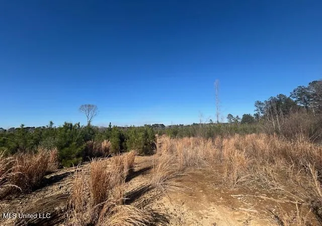 Photo 4 of Land for sale at Robert Jones Rd, Summit, MS 39666 | MLS# 4138043 | Listing updated on 2026-07-31