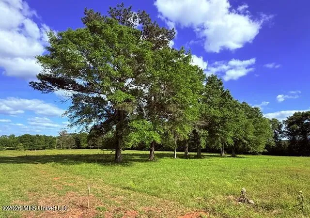 2nd image of Joby Magee Rd, Franklinton, LA 70438 | MLS# 4138195