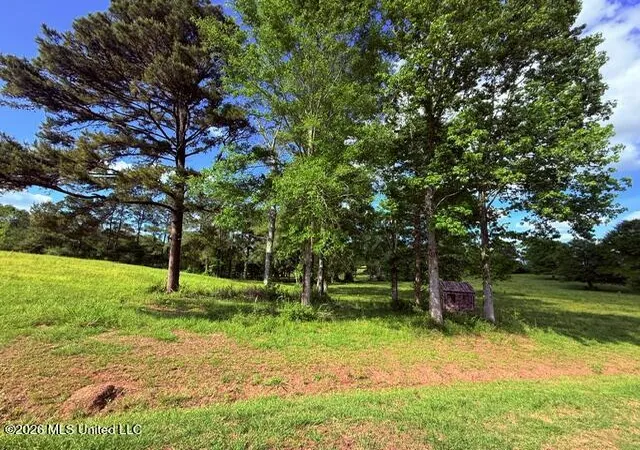 Photo 3 of Land for sale at Joby Magee Rd, Franklinton, LA 70438 | MLS# 4138195 | Listing updated on 2026-06-15