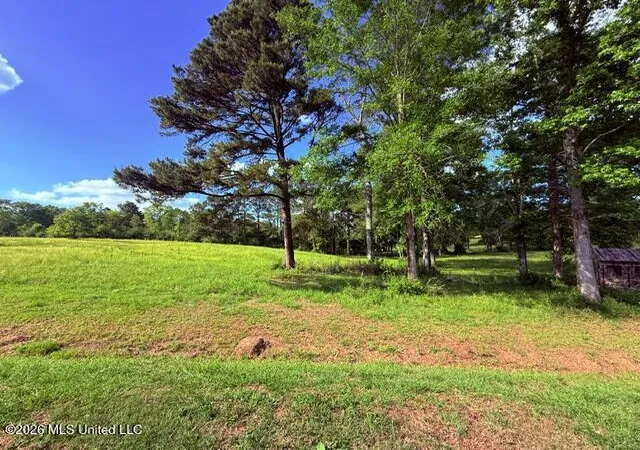 Photo 3 of Land for sale at Joby Magee Rd, Franklinton, LA 70438 | MLS# 4138195 | Listing updated on 2026-06-15