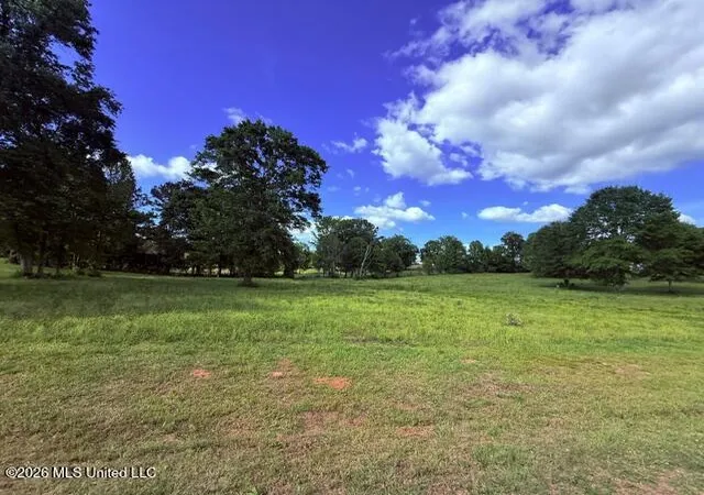 Photo 4 of Land for sale at Joby Magee Rd, Franklinton, LA 70438 | MLS# 4138195 | Listing updated on 2026-06-15