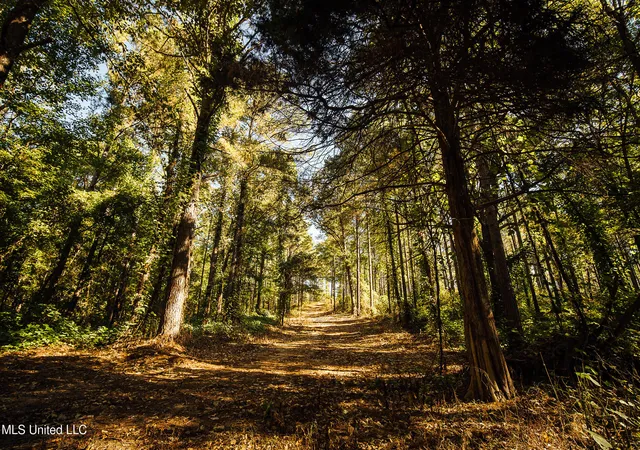 Photo 1 of Land for sale at Mississippi 4, Holly Springs, MS 38635 | MLS# 4138264 | Listing updated on 2026-07-20
