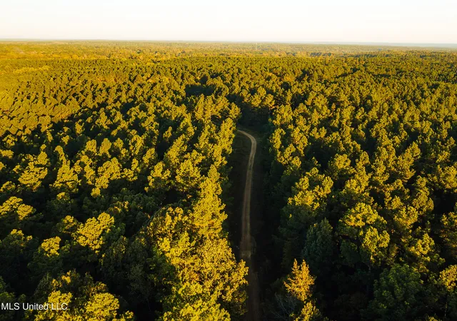 Photo 4 of Land for sale at Mississippi 4, Holly Springs, MS 38635 | MLS# 4138264 | Listing updated on 2026-10-02
