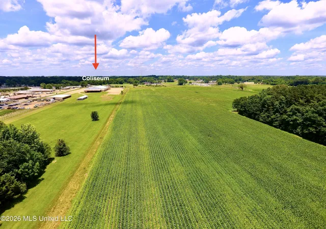 Homes for sale in Carthage, MS | 00 E Main St, Carthage, MS 39051 | MLS# 4139228